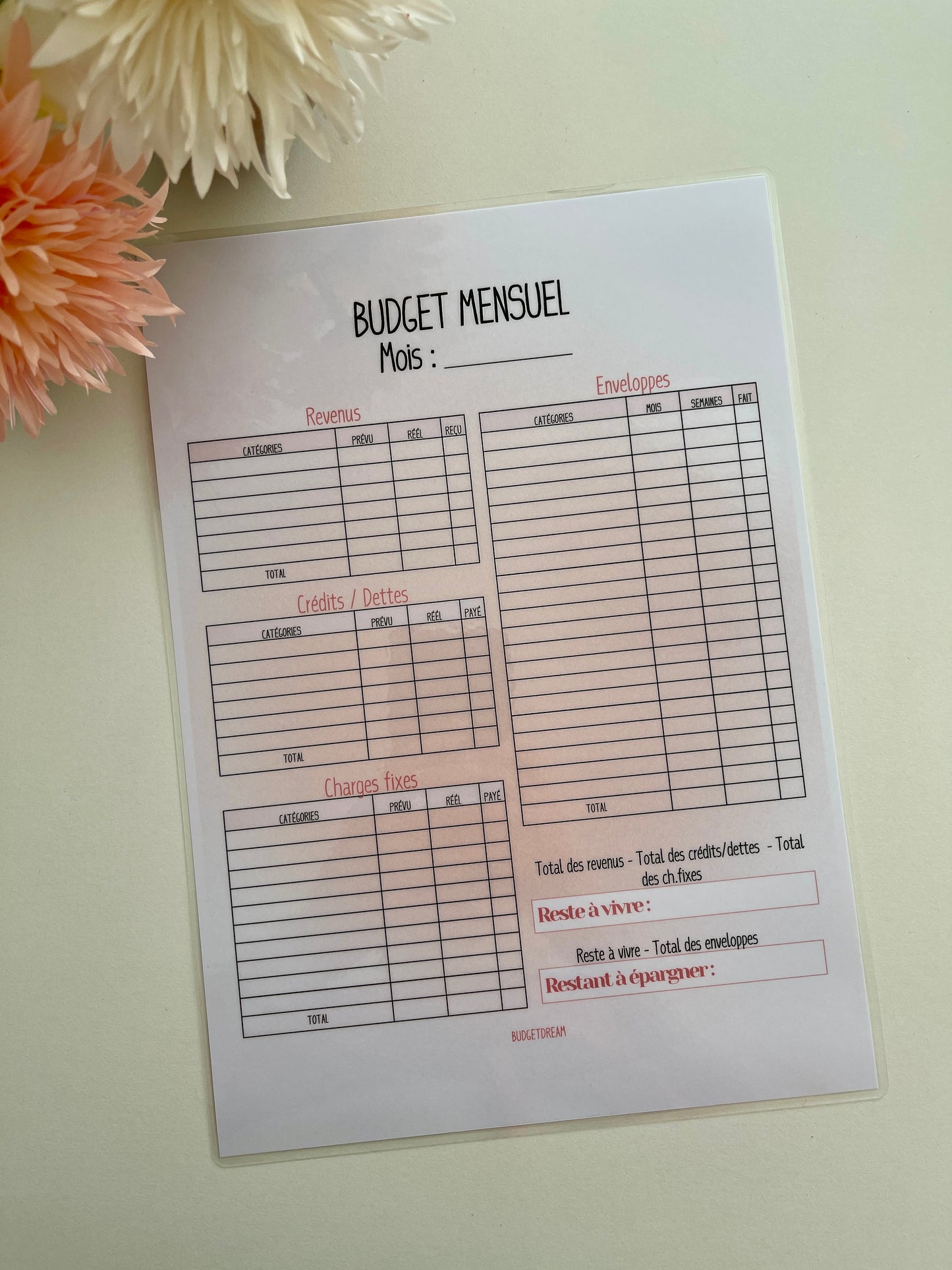 Fiche Budget mensuel - Rose