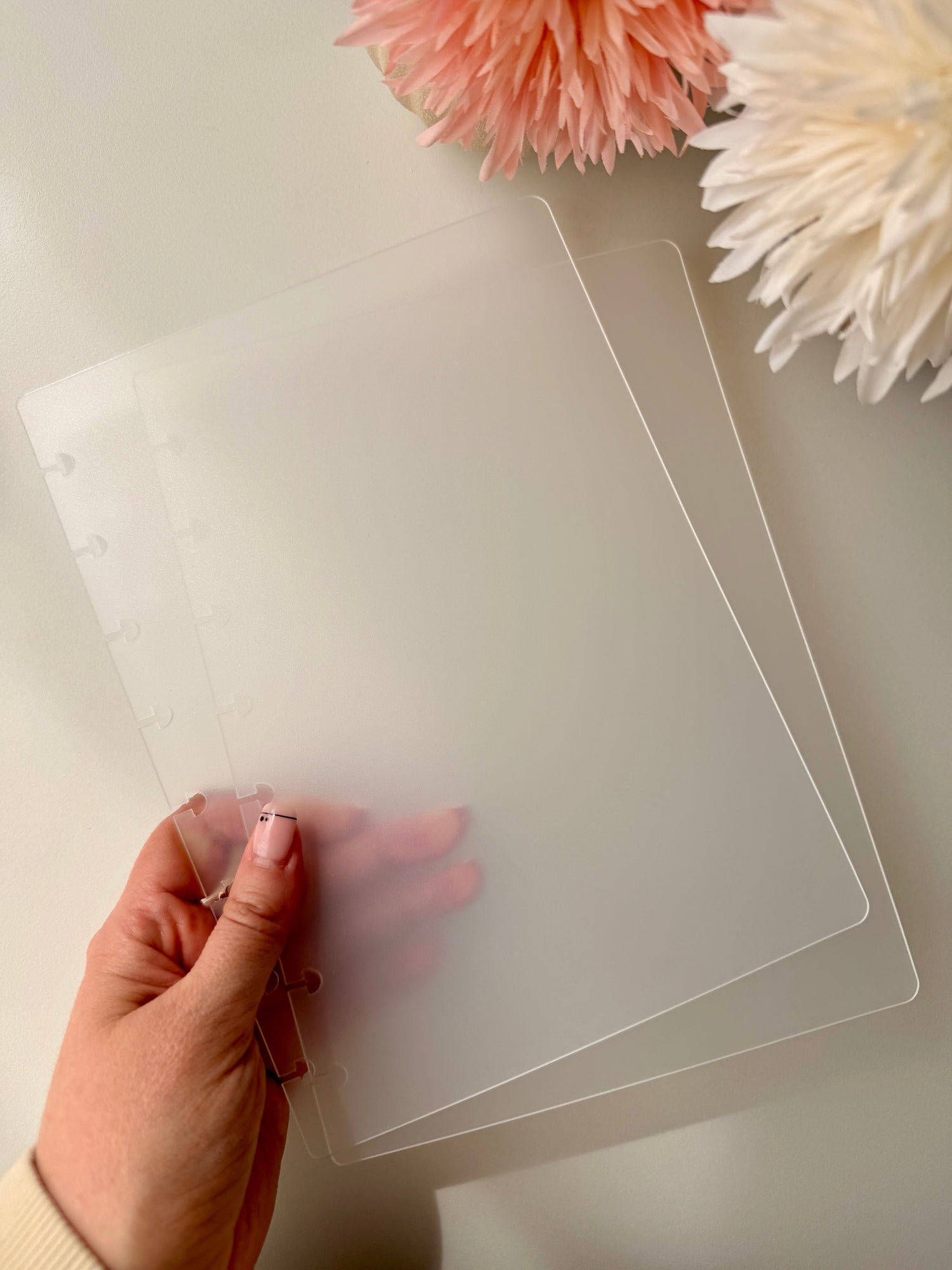 Couverture champignon