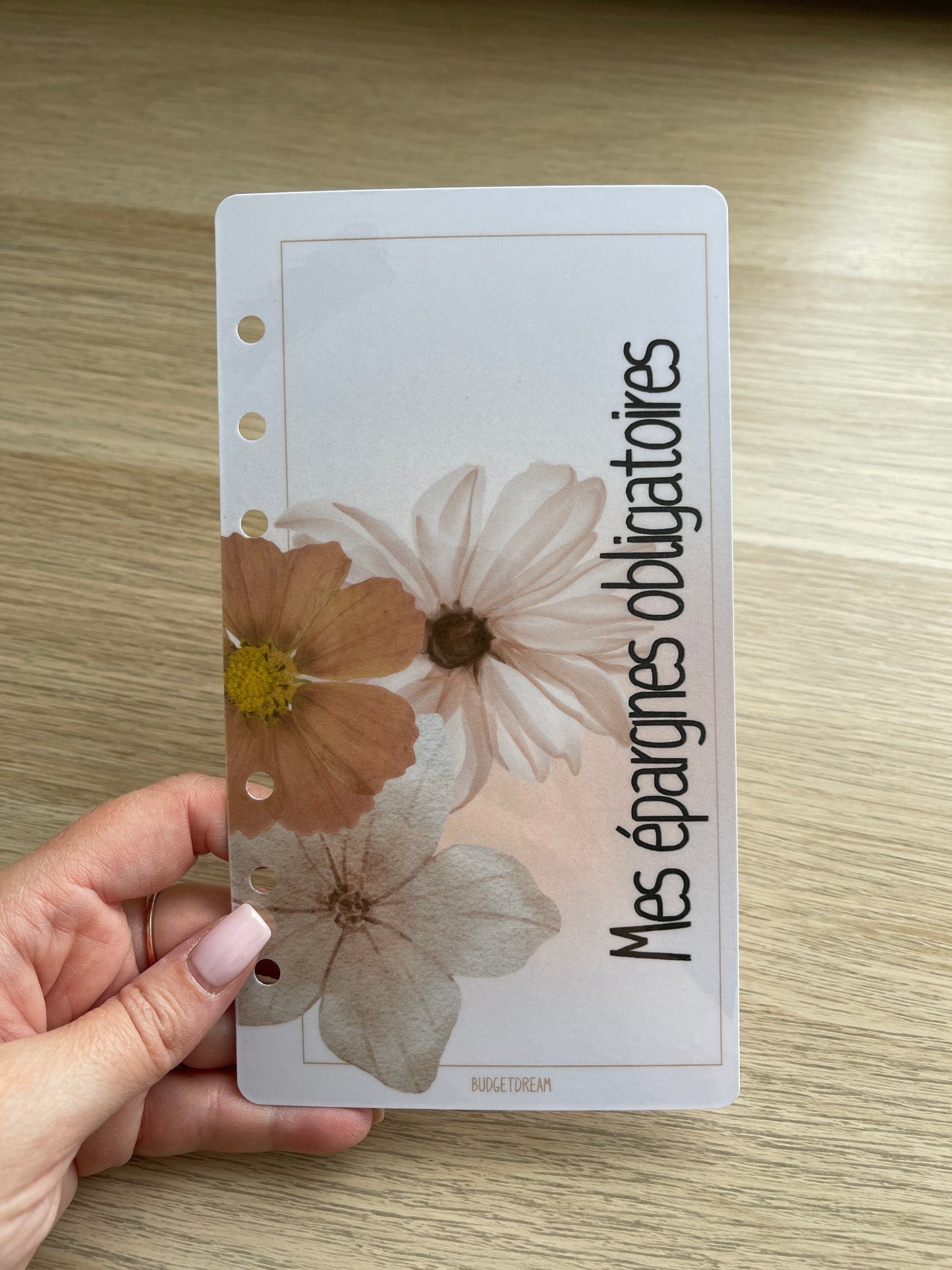 Planches de garde - Classeur A6 - Beige