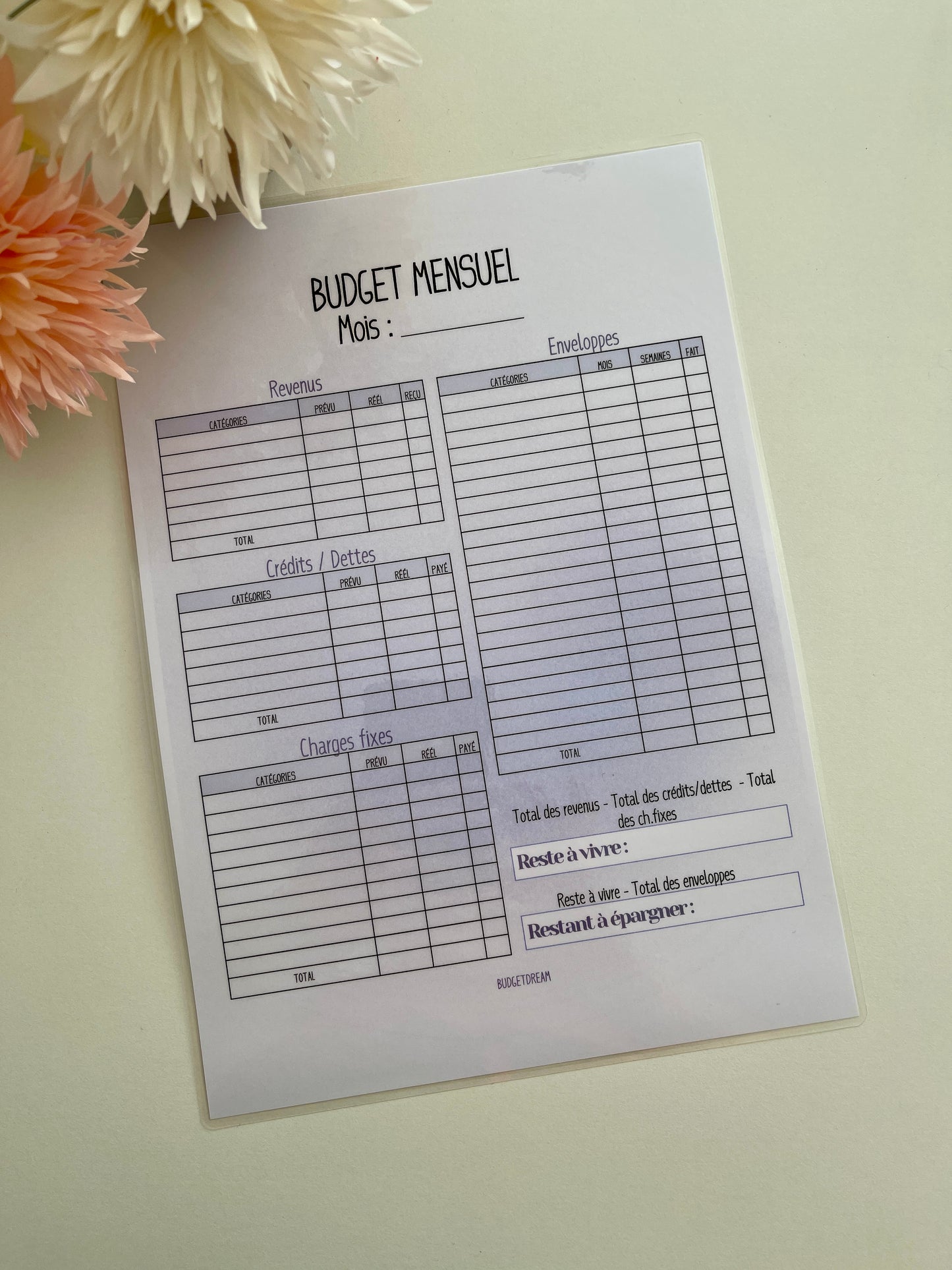 Fiche Budget mensuel - Violet