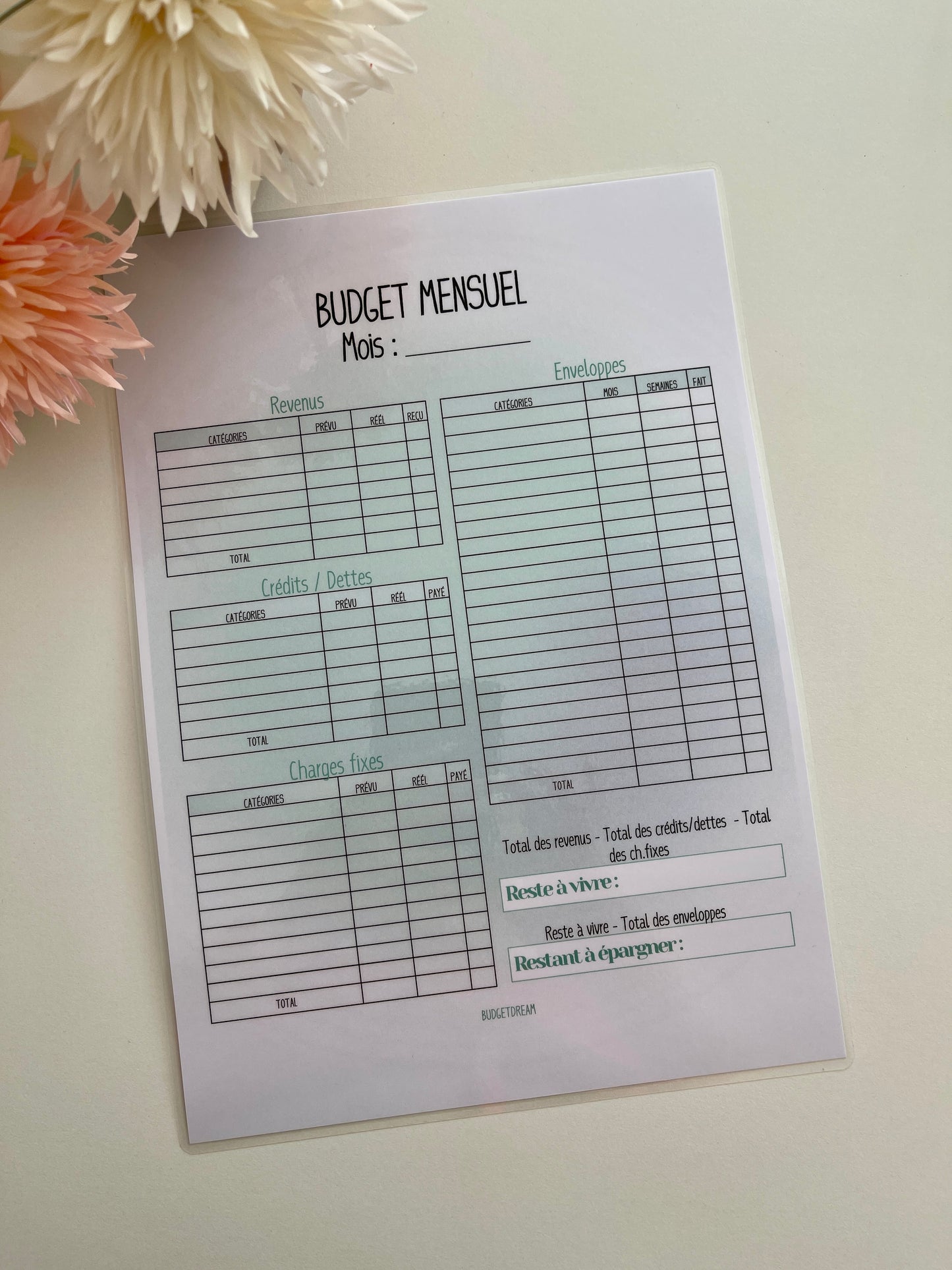 Fiche Budget mensuel - Vert