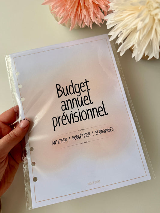 Recharge Budget annuel prévisionnel - Classeur - Mon budget journal